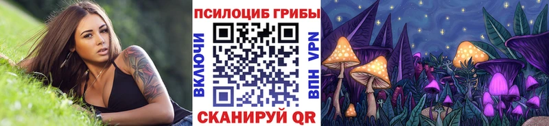 Псилоцибиновые грибы GOLDEN TEACHER  Талица 