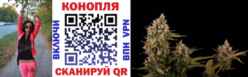 Каннабис планчик  kraken маркетплейс  Талица  сколько стоит 